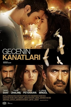 Gecenin Kanatları