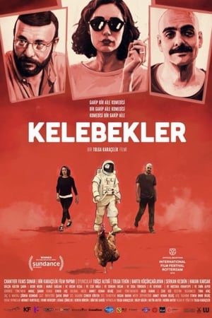 Kelebekler