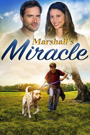 Marshall the Miracle Dog