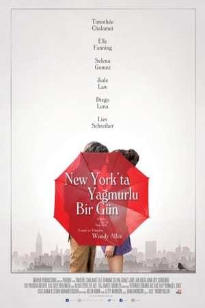 New York’ta Yağmurlu Bir Gün