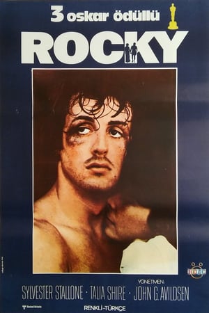 Rocky