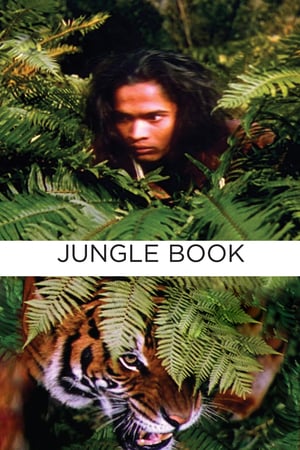 Ormanın Kitabı