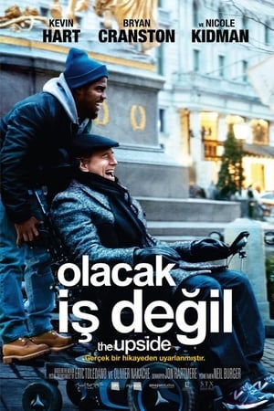 Olacak İş Değil