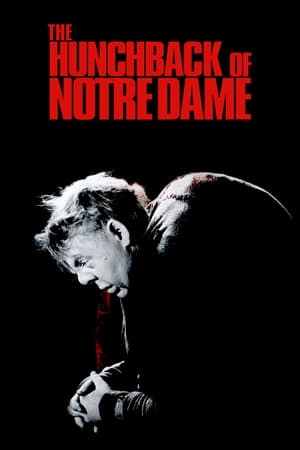 Notre Dame’ın Kamburu