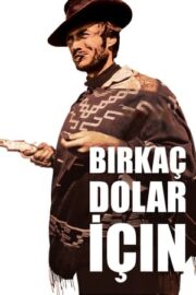 Bir Kaç Dolar İçin